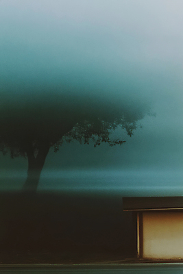 JPG 나무 편집이미지 주택 풍경 잔디 사람없음 안개 필름 필름사진 편집실사 AI포토 AI콘텐츠 식물 날씨 건물 CG 파일형식