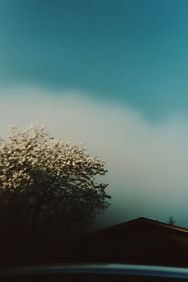 JPG 나무 구름 편집이미지 하늘 주택 풍경 사람없음 필름 필름사진 편집실사 AI포토 AI콘텐츠 자연요소 식물 건물 CG 파일형식