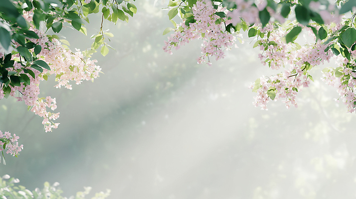 JPG 편집이미지 잎 봄꽃 프레임 사람없음 햇빛 편집실사 AI포토 AI콘텐츠 식물 꽃 태양 봄 CG 파일형식