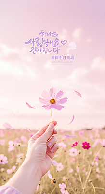 PSD 구름 편집이미지 손 꽃잎 기독교 분홍색 꽃밭 하늘 사랑 들기 신체부위 교회 하나님 디지털합성 코스모스 감사 예배 찬양 이미지편집 자연요소 꽃 감정 종교 컬러 종교건축 모션 사람 건물 신_종교 파일형식