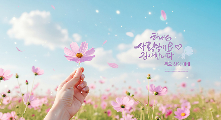 PSD 구름 편집이미지 손 꽃잎 기독교 꽃밭 하늘 사랑 들기 신체부위 교회 하나님 디지털합성 코스모스 감사 예배 찬양 이미지편집 자연요소 꽃 감정 종교 종교건축 모션 사람 건물 신_종교 파일형식