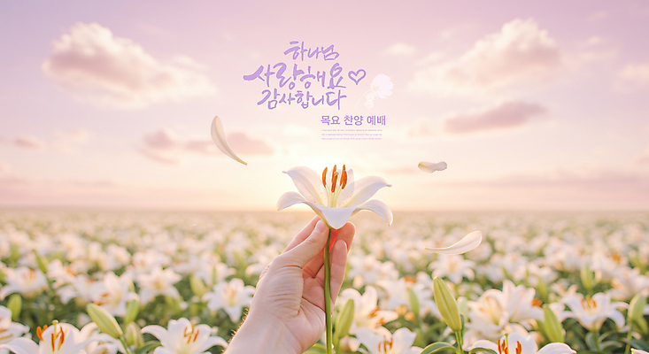 PSD 구름 편집이미지 손 꽃잎 기독교 분홍색 꽃밭 하늘 사랑 들기 신체부위 햇빛 교회 하나님 백합 디지털합성 감사 예배 찬양 이미지편집 자연요소 꽃 감정 종교 컬러 종교건축 모션 사람 건물 태양 신_종교 파일형식