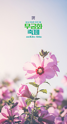 PSD 편집이미지 꽃잎 분홍색 하늘 사람없음 디지털합성 무궁화 QR코드 무궁화축제 이미지편집 꽃 컬러 축제 꽃축제 파일형식