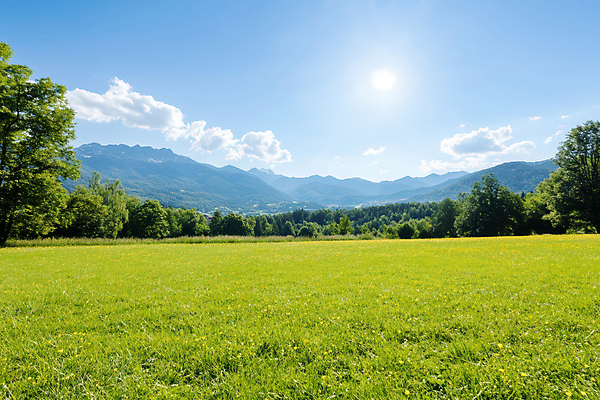 JPG 나무 구름 편집이미지 하늘색 자연 하늘 산 풍경 잔디 사람없음 초록색 태양 봄 숲 편집실사 AI포토 AI콘텐츠 자연요소 식물 계절 컬러 파란색 CG 생태계 파일형식