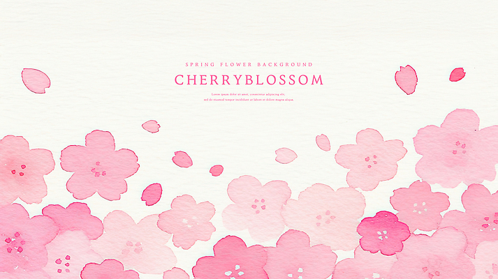 PSD 꽃잎 분홍색 일러스트 수채화 사람없음 벚꽃 번짐 국내일러스트 꽃 컬러 파일형식 효과