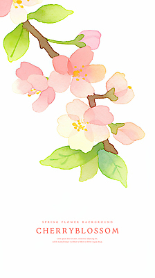 PSD 꽃잎 분홍색 일러스트 나뭇잎 수채화 사람없음 벚꽃 나뭇가지 꽃봉오리 번짐 국내일러스트 나무 꽃 컬러 잎 파일형식 효과