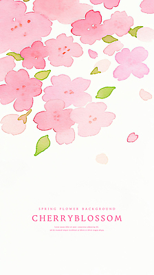 PSD 꽃잎 분홍색 잎 일러스트 수채화 사람없음 벚꽃 국내일러스트 식물 꽃 컬러 파일형식