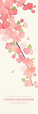 PSD 꽃잎 분홍색 잎 일러스트 수채화 사람없음 벚꽃 나뭇가지 번짐 국내일러스트 나무 식물 꽃 컬러 파일형식 효과