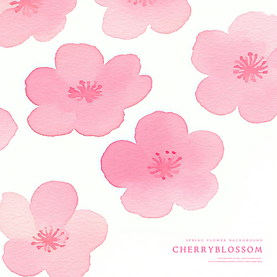 PSD 꽃잎 분홍색 일러스트 수채화 사람없음 벚꽃 국내일러스트 꽃 컬러 파일형식