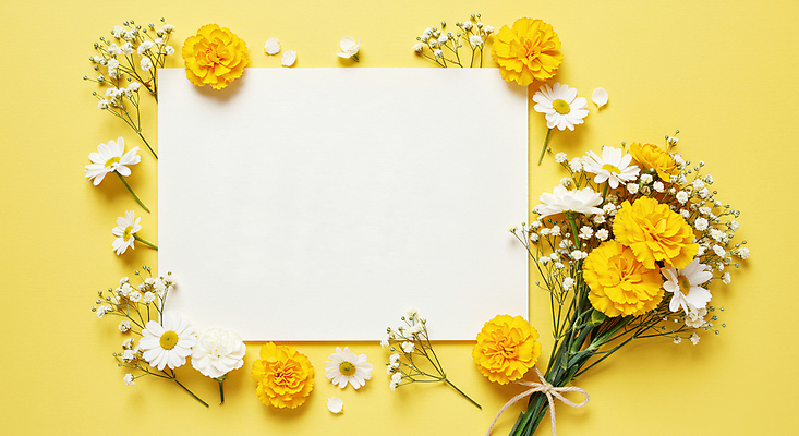 JPG 편집이미지 기념일 꽃잎 리본 종이 꽃다발 사람없음 노란색 감사 꽃프레임 카피스페이스 편집실사 AI포토 AI콘텐츠 꽃 감정 컬러 프레임 이벤트 공백 CG 파일형식