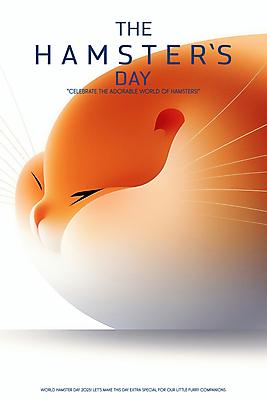 PSD 편집이미지 포스터 추상 사람없음 주황색 웨이브 햄스터 이미지편집 세계햄스터의날 기념일 컬러 무늬 반려동물 설치류 파일형식