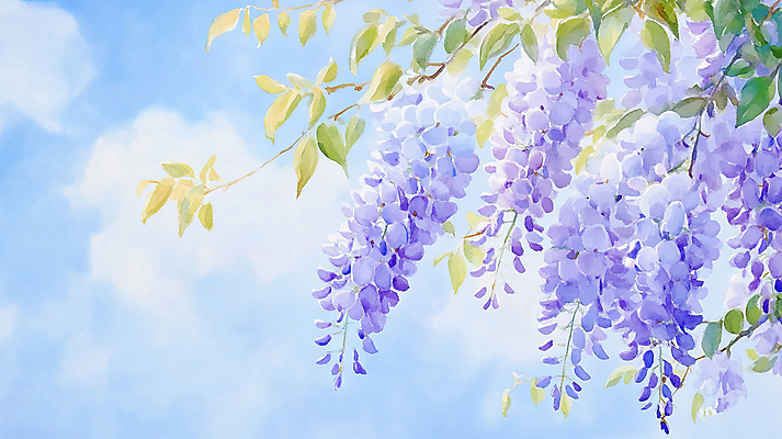 JPG 구름 일러스트 하늘 나뭇잎 사람없음 햇빛 보라색 등나무꽃 국내일러스트 AI일러스트 AI콘텐츠 자연요소 꽃 컬러 잎 태양 파일형식