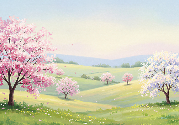 JPG 일러스트 자연 하늘 수채화 산 잔디 사람없음 봄풍경 벚나무 동산 국내일러스트 AI일러스트 AI콘텐츠 나무 식물 풍경 봄 벚꽃 생태계 파일형식