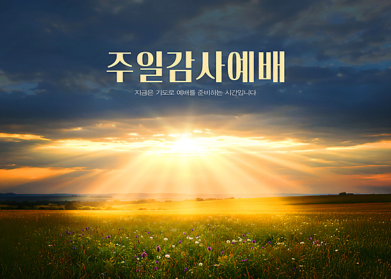 PSD 구름 템플릿 기독교 십자가 꽃밭 초원 사람없음 빛 햇빛 교회 감사 예배 이미지템플릿 자연요소 꽃 감정 종교 종교건축 건물 태양 파일형식