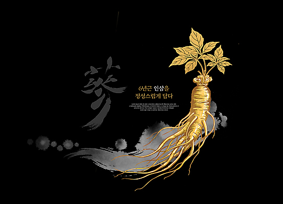 PSD 편집이미지 잎 붓터치 서예 선물 사람없음 검은색 한자 신선 인삼 뿌리 번짐 이미지편집 식물 문자 한국전통 컬러 삼 파일형식 효과