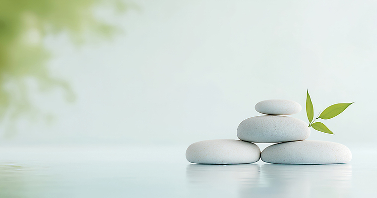 JPG 편집이미지 자연 나뭇잎 사람없음 평화 고요 수면 명상 편집실사 젠 AI포토 AI콘텐츠 컨셉 잎 물 쌓기 돌_바위 CG 생태계 파일형식