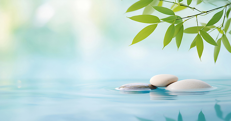 JPG 편집이미지 자연 나뭇잎 사람없음 평화 고요 나뭇가지 수면 명상 편집실사 젠 AI포토 AI콘텐츠 나무 컨셉 잎 물 쌓기 돌_바위 CG 생태계 파일형식