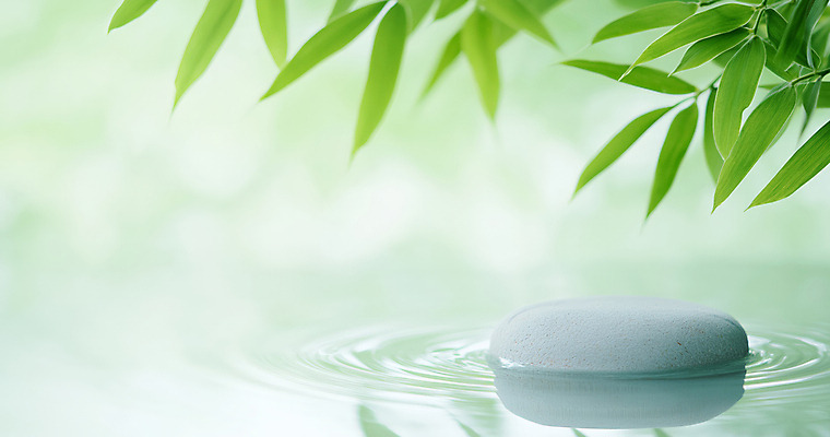 JPG 편집이미지 자연 나뭇잎 사람없음 평화 고요 돌_바위 수면 명상 편집실사 AI포토 AI콘텐츠 컨셉 잎 물 CG 생태계 파일형식