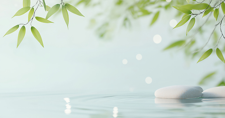 JPG 편집이미지 자연 나뭇잎 사람없음 평화 고요 돌_바위 나뭇가지 수면 명상 보케 편집실사 AI포토 AI콘텐츠 나무 컨셉 잎 물 CG 생태계 파일형식