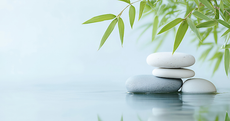 JPG 편집이미지 자연 나뭇잎 사람없음 평화 고요 나뭇가지 수면 명상 편집실사 젠 AI포토 AI콘텐츠 나무 컨셉 잎 물 쌓기 돌_바위 CG 생태계 파일형식