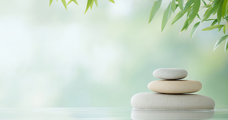 JPG 편집이미지 자연 나뭇잎 사람없음 평화 고요 수면 명상 편집실사 젠 AI포토 AI콘텐츠 컨셉 잎 물 쌓기 돌_바위 CG 생태계 파일형식