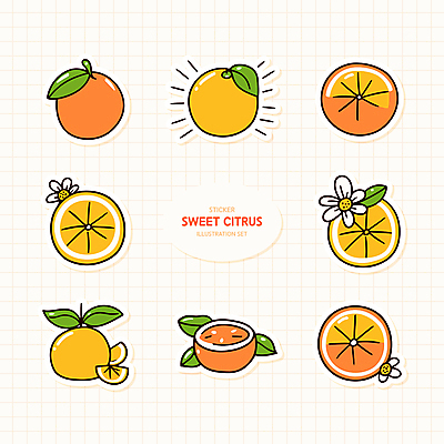 꽃 스티커 잎 오렌지 일러스트 귤 사람없음 반짝임 세트 주황색 슬라이스 격자 엘리먼트 국내일러스트 AI파일 식물 컬러 무늬 과일 모션 파일형식 벡터