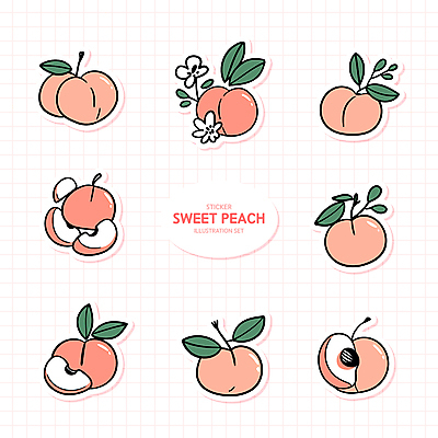 분홍색 스티커 잎 일러스트 사람없음 세트 격자 복숭아 복사꽃 복숭아씨 엘리먼트 국내일러스트 AI파일 식물 꽃 컬러 무늬 과일 씨앗 파일형식 벡터