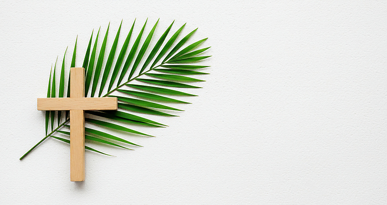 JPG 편집이미지 종교 부활절 사람없음 기도 나무십자가 종려나무잎 카피스페이스 편집실사 AI포토 AI콘텐츠 기념일 십자가 잎 공백 CG 파일형식