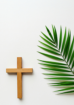 JPG 편집이미지 종교 부활절 사람없음 기도 나무십자가 종려나무잎 편집실사 AI포토 AI콘텐츠 기념일 십자가 잎 CG 파일형식