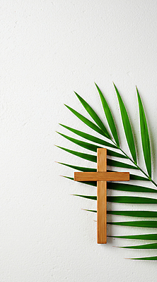 JPG 편집이미지 종교 부활절 사람없음 기도 나무십자가 종려나무잎 편집실사 AI포토 AI콘텐츠 기념일 십자가 잎 CG 파일형식