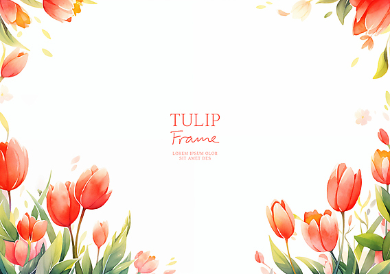PSD 잎 꽃백그라운드 일러스트 봄꽃 자연 수채화 사람없음 빨간색 튤립 꽃프레임 카피스페이스 국내일러스트 식물 꽃 컬러 백그라운드 프레임 봄 공백 생태계 파일형식