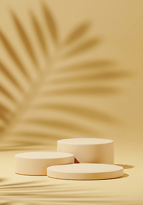 JPG 편집이미지 잎 그림자 사람없음 노란색 봄 원형 오브젝트 포디움 미니멀 편집실사 AI포토 AI콘텐츠 도형 식물 계절 컬러 무대 CG 파일형식