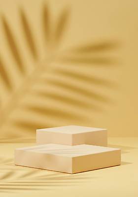 JPG 편집이미지 잎 그림자 사람없음 노란색 봄 원형 오브젝트 포디움 미니멀 편집실사 AI포토 AI콘텐츠 도형 식물 계절 컬러 무대 CG 파일형식