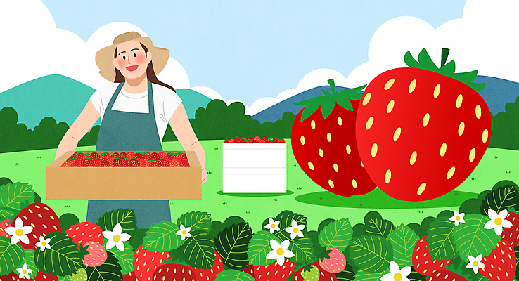 구름 여자 일러스트 하늘 딸기 산 한명 들기 성인 봄 수확 나무상자 밀짚모자 딸기꽃 딸기밭 성인여자한명만 제철음식 국내일러스트 AI파일 자연요소 모자_잡화 1 계절 꽃 음식 밭 농업 과일 모션 사람 상자 제철 여자한명만 성인여자만 파일형식 벡터