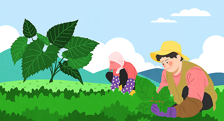 전신 구름 모자 여자 중년 밭 일러스트 하늘 두명 농사 봄 수확 웅크림 취나물 중년여자만 제철음식 국내일러스트 AI파일 자연요소 잡화 계절 음식 농업 모션 사람 성인 나물 제철 여자만 중년만 파일형식 벡터