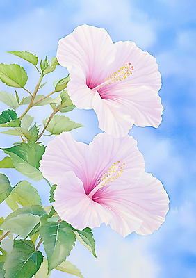 JPG 구름 잎 일러스트 하늘 수채화 사람없음 무궁화 만개 국내일러스트 AI일러스트 AI콘텐츠 자연요소 식물 꽃 파일형식