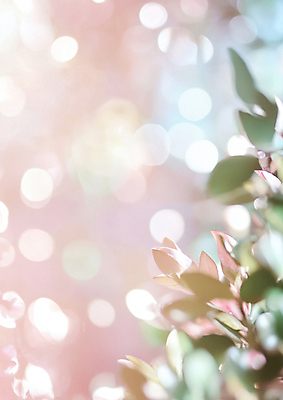 JPG 편집이미지 분홍색 잎 사람없음 빛 반짝임 햇빛 보케 감성 파스텔톤 화창 봄배경 편집실사 AI컴퓨터그래픽 AI콘텐츠 식물 컬러 백그라운드 컨셉 모션 날씨 태양 봄 CG 파일형식