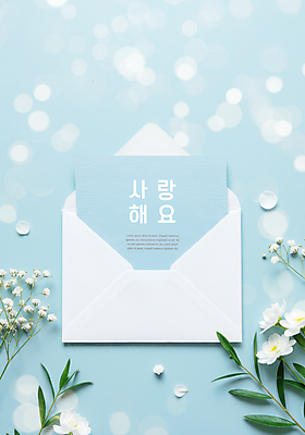 PSD 편집이미지 꽃 하늘색 잎 편지봉투 사랑 사람없음 편지 보케 이미지편집 식물 감정 봉투 파란색 파일형식