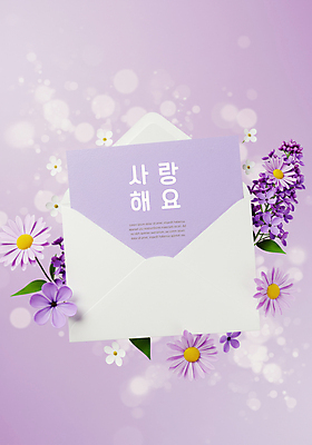 PSD 편집이미지 꽃 잎 편지봉투 사랑 사람없음 보라색 편지 보케 이미지편집 식물 감정 컬러 봉투 파일형식