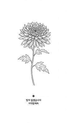 PSD 라인일러스트 일러스트 국화 사람없음 흰색 삼일절 애도 애국심 순국선열 추모 호국영령 독립투사 국내일러스트 꽃 컬러 공휴일 국경일 파일형식