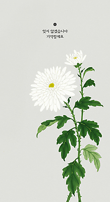 PSD 잎 일러스트 국화 사람없음 회색 삼일절 애도 애국심 순국선열 추모 호국영령 독립투사 국내일러스트 식물 꽃 컬러 공휴일 국경일 파일형식