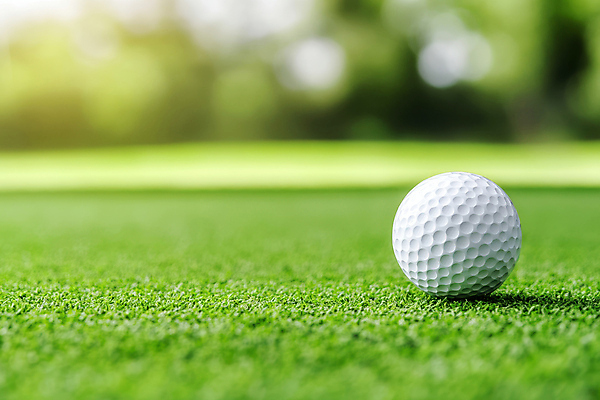 JPG 편집이미지 골프장 자연 필드 골프공 잔디 사람없음 초록색 운동 햇빛 편집실사 AI포토 AI콘텐츠 식물 컬러 골프 공 스포츠시설 골프용품 건강 태양 CG 생태계 파일형식