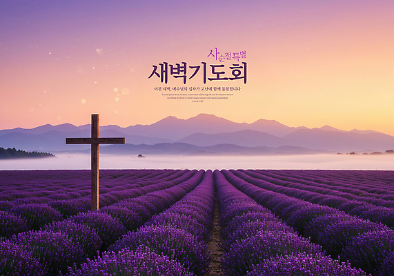 PSD 편집이미지 자연 하늘 부활절 사람없음 보라색 기도 산등성이 라벤더 나무십자가 사순절 새벽기도 이미지편집 기념일 꽃 종교 컬러 십자가 산 허브 생태계 파일형식