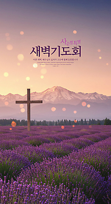 PSD 편집이미지 자연 하늘 부활절 사람없음 보라색 기도 보케 라벤더 나무십자가 사순절 새벽기도 설산 이미지편집 기념일 꽃 종교 컬러 십자가 산 허브 생태계 파일형식