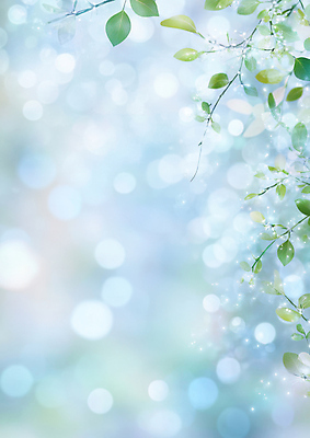 JPG 편집이미지 하늘색 나뭇잎 사람없음 빛 햇빛 보케백그라운드 봄배경 편집실사 AI컴퓨터그래픽 AI콘텐츠 백그라운드 잎 파란색 태양 봄 CG 보케 파일형식