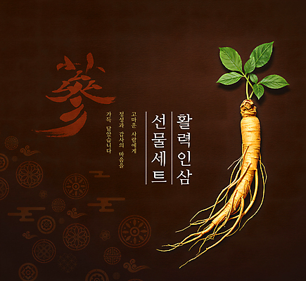 PSD 편집이미지 잎 사람없음 갈색 전통문양 고급 인삼 뿌리 활기 선물세트 프리미엄 이미지편집 식물 전통 문양 컬러 컨셉 선물 삼 파일형식