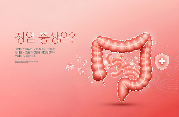 PSD 편집이미지 분홍색 사람없음 치료 내장 대장 박테리아 방패모양 십자마크 장염 증상 이미지편집 모양 컬러 의학 장기_의학 질병 방패 파일형식