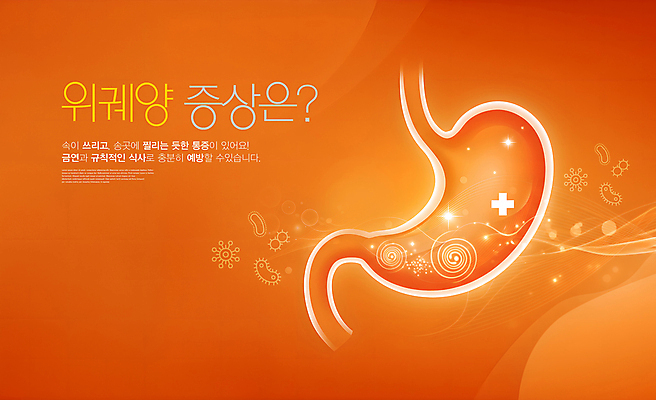 PSD 편집이미지 사람없음 치료 주황색 내장 위장 박테리아 방패모양 증상 이미지편집 위궤양 모양 컬러 의학 장기_의학 질병 방패 파일형식