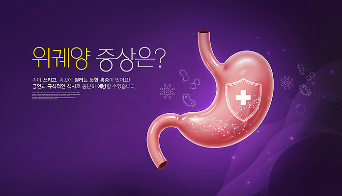 PSD 편집이미지 사람없음 치료 보라색 내장 위장 박테리아 방패모양 십자마크 증상 이미지편집 위궤양 모양 컬러 의학 장기_의학 질병 방패 파일형식