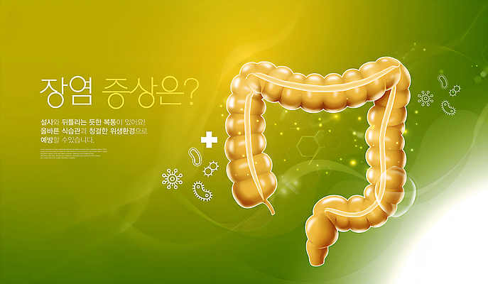 PSD 편집이미지 사람없음 치료 연두색 내장 대장 박테리아 십자마크 장염 증상 이미지편집 의학 초록색 장기_의학 질병 파일형식